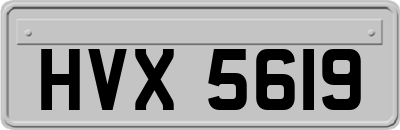 HVX5619