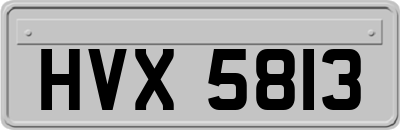 HVX5813