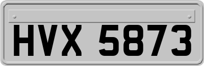 HVX5873