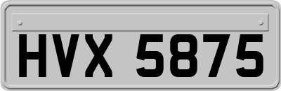 HVX5875