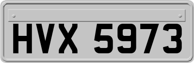 HVX5973