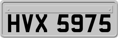 HVX5975