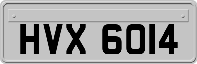 HVX6014