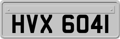 HVX6041