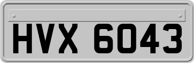 HVX6043