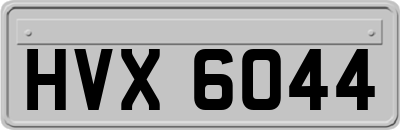 HVX6044