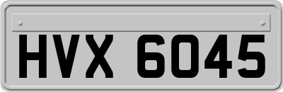 HVX6045