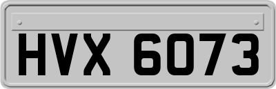 HVX6073