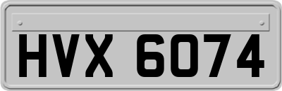 HVX6074