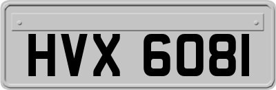HVX6081