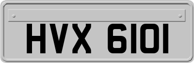 HVX6101