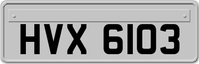 HVX6103