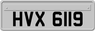 HVX6119