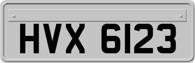 HVX6123