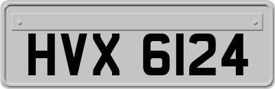HVX6124