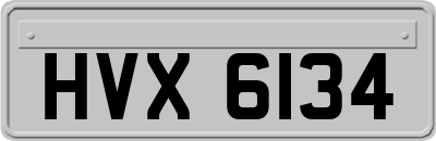 HVX6134