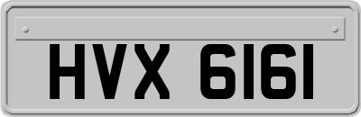 HVX6161
