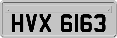 HVX6163