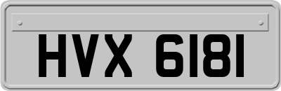 HVX6181