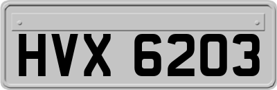 HVX6203