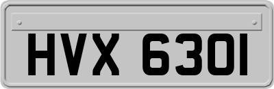 HVX6301