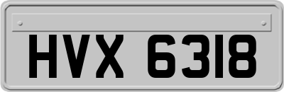 HVX6318