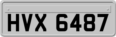 HVX6487