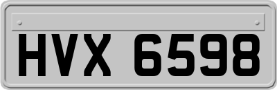 HVX6598