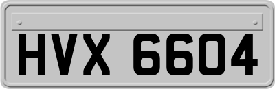 HVX6604