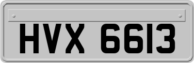 HVX6613