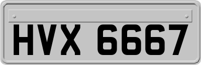 HVX6667
