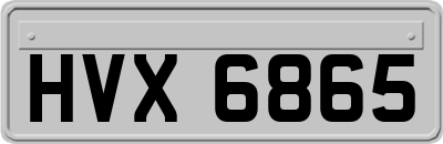 HVX6865