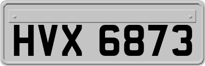 HVX6873