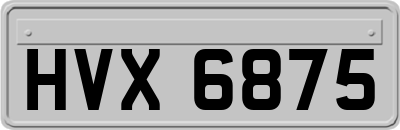 HVX6875