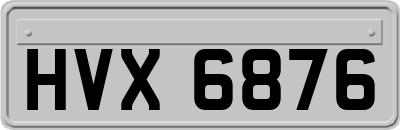HVX6876