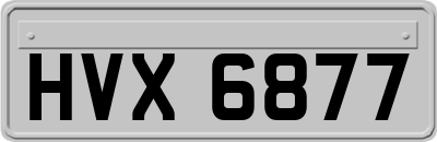 HVX6877