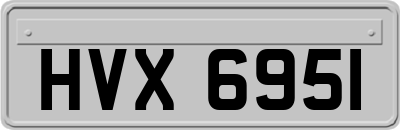 HVX6951