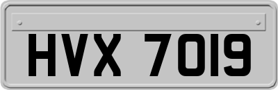 HVX7019