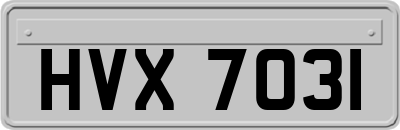 HVX7031