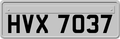 HVX7037