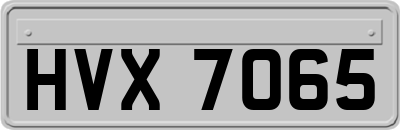 HVX7065
