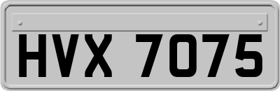 HVX7075