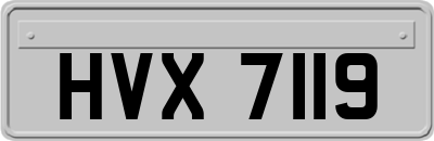 HVX7119