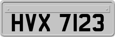 HVX7123