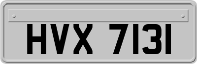 HVX7131