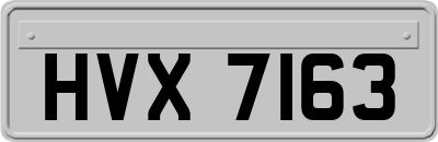 HVX7163