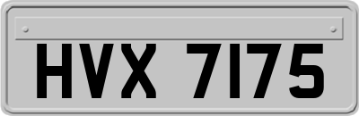 HVX7175