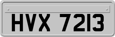 HVX7213