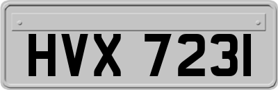 HVX7231
