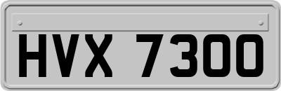 HVX7300